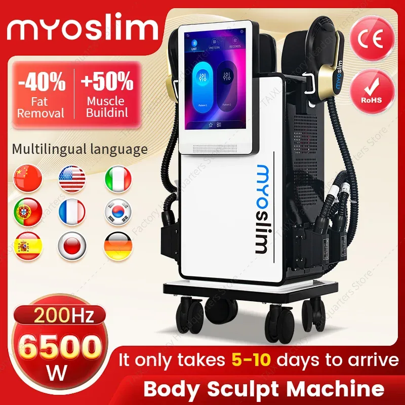 Appareil d'électrostimulation musculaire portable